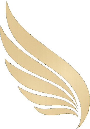 Irisho logo
